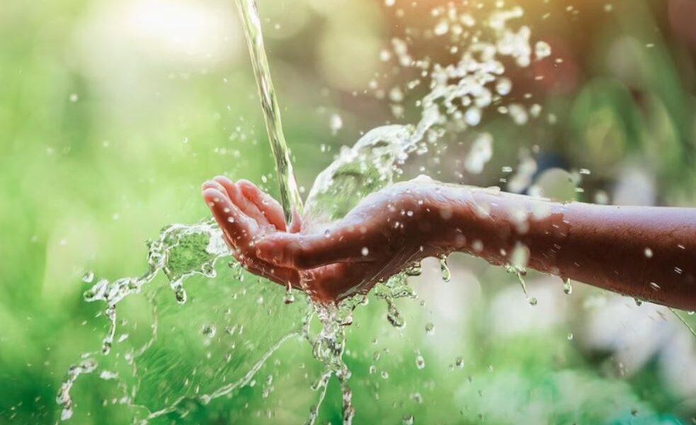 The Elixir of Life: Exploring the Wonders of Water.